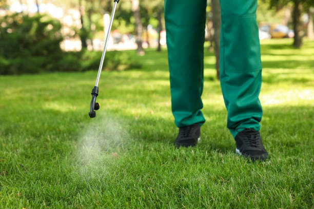 Best Exterminator Services  in St Helen, MI