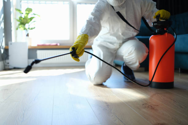 Best Rat Extermination Near Me  in St Helen, MI