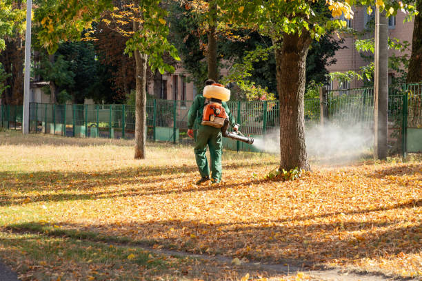 Best Commercial Pest Control Services  in St Helen, MI