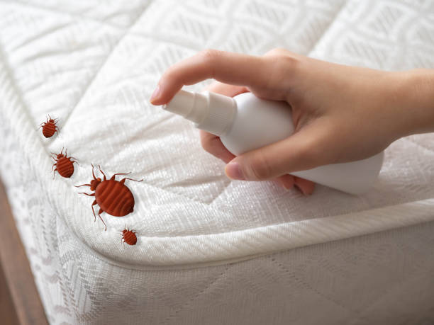 Best Pest Prevention Services  in St Helen, MI