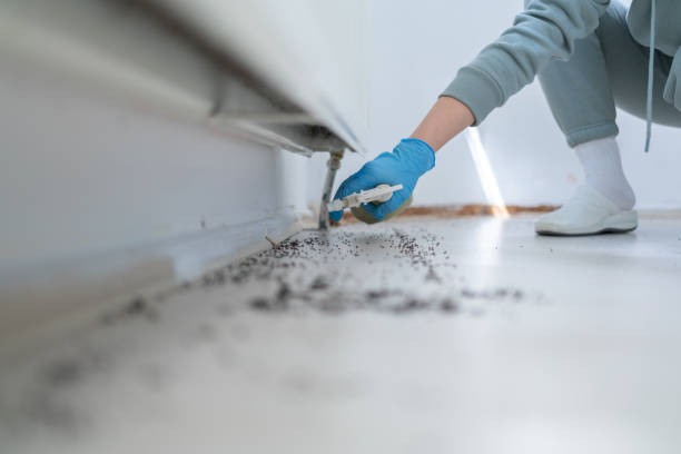 Professional Pest Control in St Helen, MI